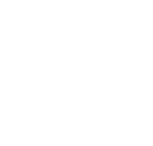 Skills Logo White size